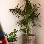 Katoikia Milos Slow Living Homes